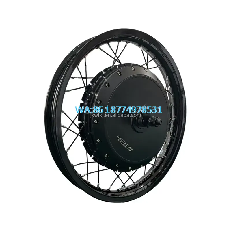 Wmwmnu für QS 273 40H V3 8000W – Qs Motor 273 8000W Hub Motor Bewertung und Preis