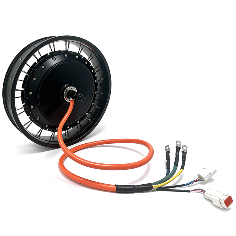 NBpower/QS 273 40H 48-96V Nenn – Qs Motor 273 8000W Hub Motor Bewertung und Preis